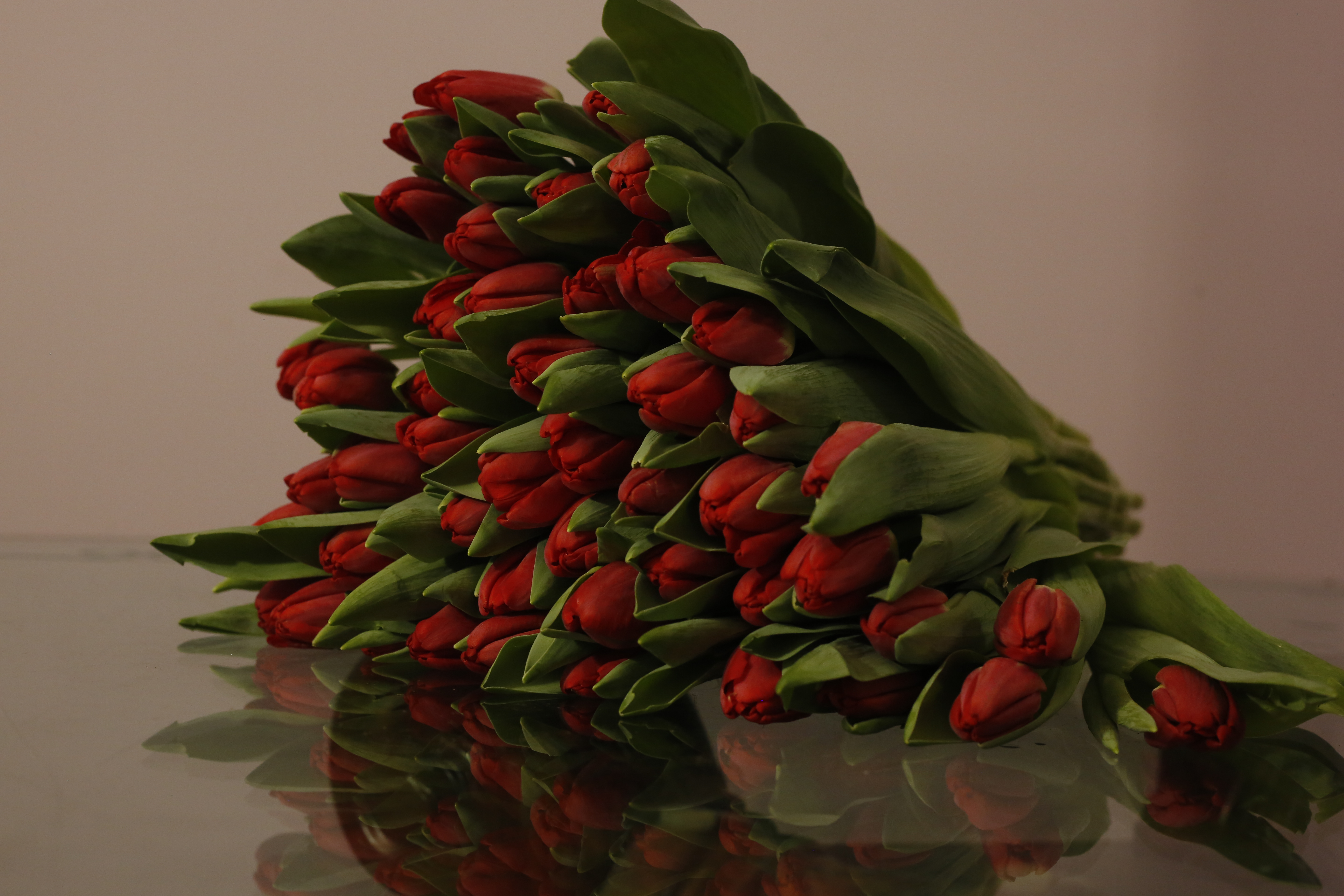 красный тюльпан казань фото