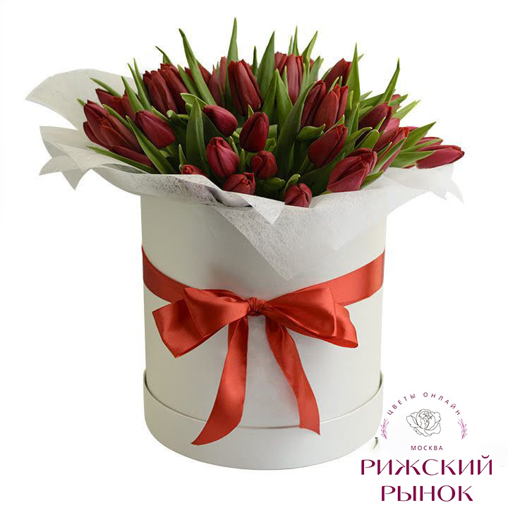 51 Красный тюльпан в шляпной коробке
