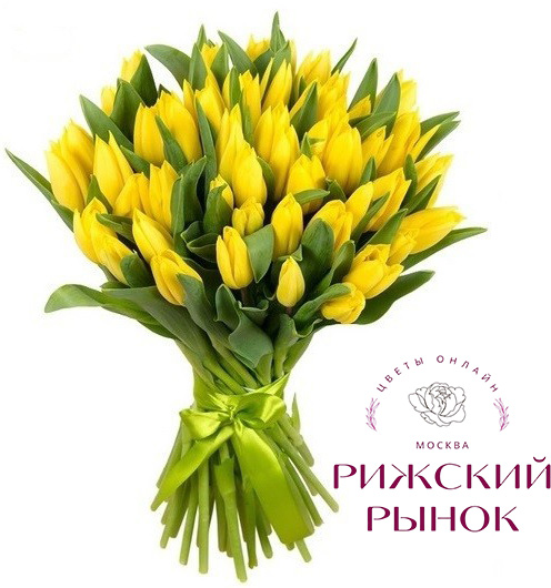 Желтый тюльпан