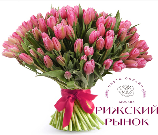 Розовый тюльпан